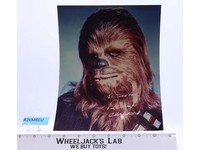 Chewbacca Star Wars Peter Mayhew AUTOGRAPHED 8x10 Picture