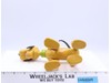 Pluto Walt Disney Store Jointed Hard Plastic 7"