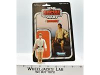 Luke Skywalker BROWN HAIR 100% Complete Star Wars 1977 Kenner No Repro 41 Back