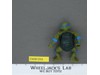 Leonardo HARD HEAD Teenage Mutant Ninja Turtles TMNT 1988 Playmates Vintage