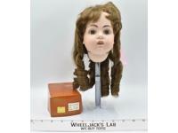 Monique Collection Doll Head With Brown Curly Hair and Brown Eyes 5" Tall