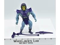 Skeletor 100% Complete He-Man Masters of the Universe MOTU 1982 Mattel Figure