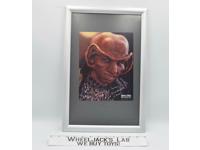Rom Star Trek Deep Space 9 Max Grodenchik AUTOGRAPHED 8x10 Picture