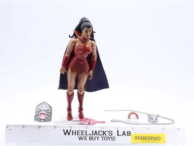 Catra Masters of the Universe Classics 100% Complete MOTUC 2010 Mattel Figure