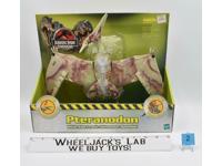 Alpha Pteranodon Repaint Jurassic Park III Dinosaurs 2004 Hasbro NEW MISP SEALED