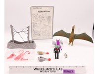 Pteranodon W/ Rasp 100% Complete Dino Riders 1989 Tyco Vintage Action Figure