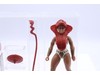 Teela No Coo UKG GRADED 85 He-Man Masters of the Universe MOTU 1982 Mattel