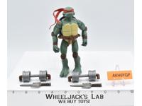 Raphael 100% Complete Teenage Mutant Ninja Turtles 2006 Playmates Action Figure