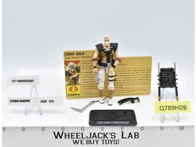 Storm Shadow V26 25th Anniversary G.I. Joe 2008 Hasbro Action Figure