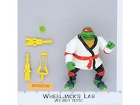 Night Ninja Raph 100% Complete Teenage Mutant Ninja Turtles 1993 Playmates