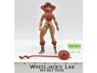 Teela 100% Complete He-Man Masters of the Universe MOTU 1982 Mattel Vintage