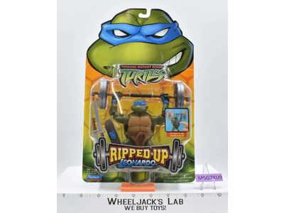 Ripped Up Leonardo Teenage Mutant Ninja Turtles TMNT 2004 Playmates MOSC NEW