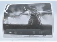 Godzilla King of the Monsters 1954 Movie Still Black &amp; White 8x10 Photograph