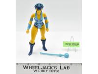 Evil Lyn 100% Complete He-Man Masters Of The Universe 1983 Mattel Figure