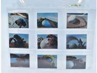 Lot of 16 Mothra vs Godzilla Japanese 1970's Mini Trading Cards Toho Menko
