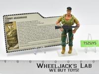 Tommy Arashikage G.I. Joe DTC/Toys R Us Exclusive 2006 Hasbro Action Figure