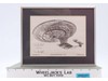 U.S.S. Enterprise NCC-1701D Pencil Perfect Art 1996 David M. Heald 180/250