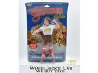 Roddy Piper Wrestling Superstars WWF 1985 Titan Sports 8" Figure MOSC NEW