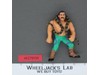Jake The Snake 100% Complete WWF WWE Wrestling 1990 Hasbro Vintage Action Figure