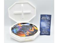 Beyond The Neutral Zone The Final Frontier Plate Star Trek Paramount 1996