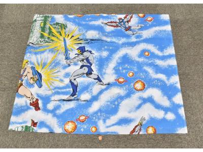 He-Man Skeletor Yard of Fabric #1 MOTU 1983 Mattel Masters of the Universe