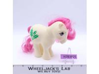 Holly December Birth Flower Pony Mail Order My Little Pony MLP G1 1985 Hasbro