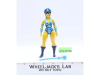 Evil Lyn 100% Complete He-Man Masters Of The Universe MOTU 1983 Mattel Figure