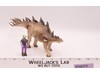 Kentrosaurus W/ Krok 100% Complete Dino Riders 1989 Tyco Vintage Action Figure