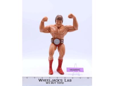 Paul Mr. Wonderful Orndorff W/Bel 1986 WWF LJN Titan Sports 8" Vintage Wrestling