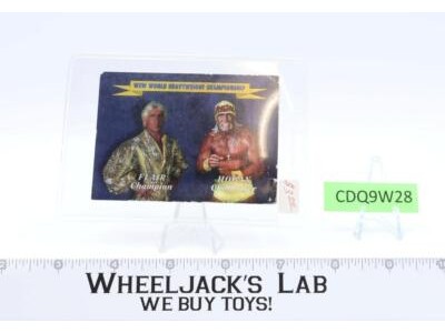 WCW World Heavyweight Championship Flair Hulk Hogan Bash at the Beach 1994 Card