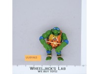 Cave-Turtle Leo Teenage Mutant Ninja Turtles 1993 Playmates Figure