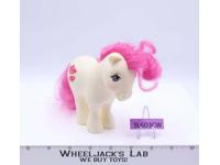 Poppy August Birth Flower Pony Mail Order My Little Pony MLP G1 1985 Hasbro