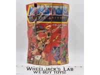Action Figure Collectors Case 40700 1984 MOTU Mattel Masters of the Universe