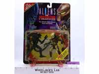 Renegade Predator vs Warrior Alien 1993 Aliens Kenner Action Figure Set NEW MOSC