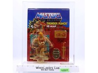 Thunder Punch He-Man AFA GRADED 80 80/80/90 Masters of the Universe MOTU NEW